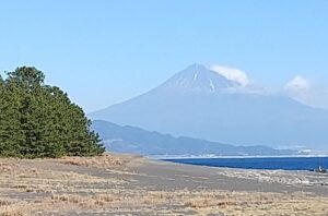 三保松原と富士山
